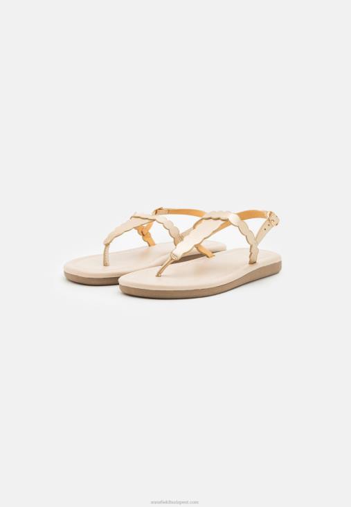 Anna Field nők t-bar szandál arany RTVD1518