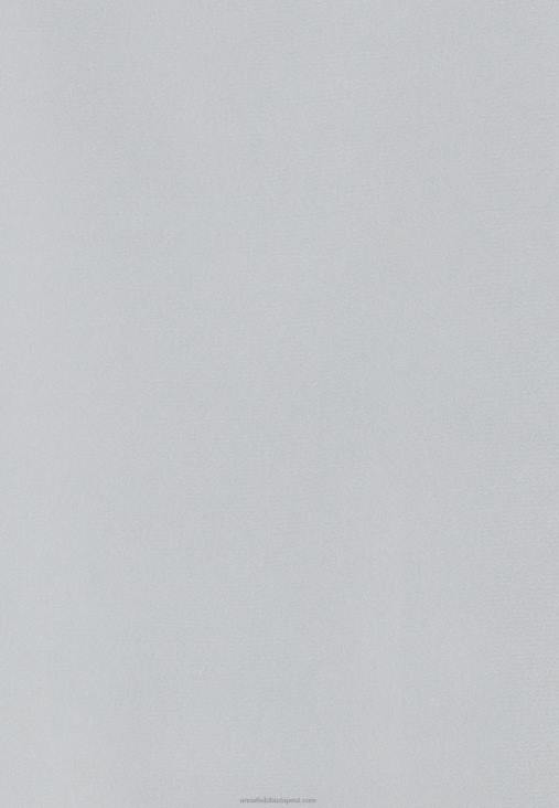 Anna Field nők felső világosszürke RTVD440